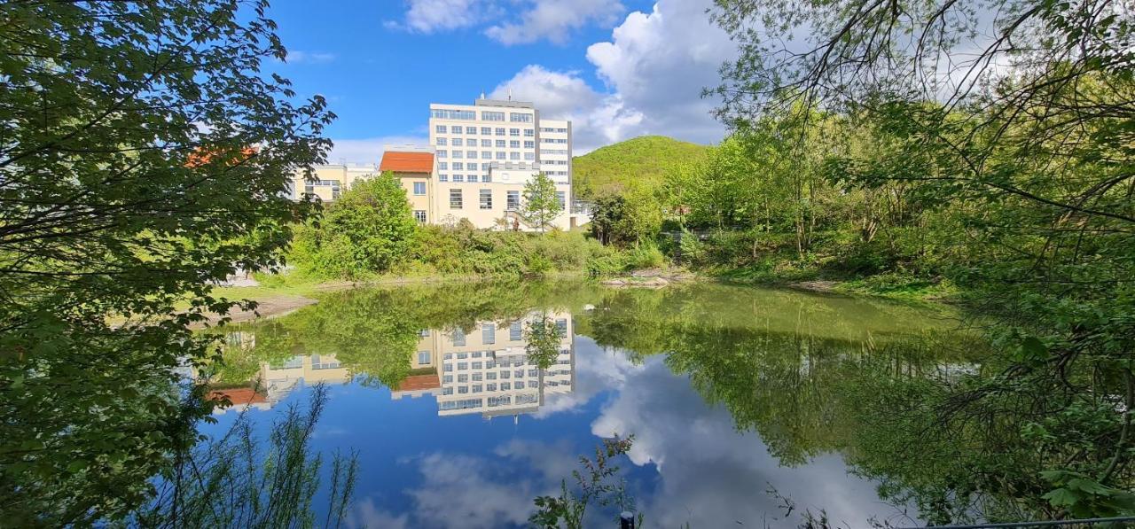 Hasseroeder Burghotel Wernigerode Eksteriør billede